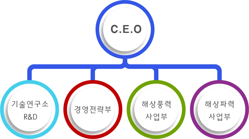 organization